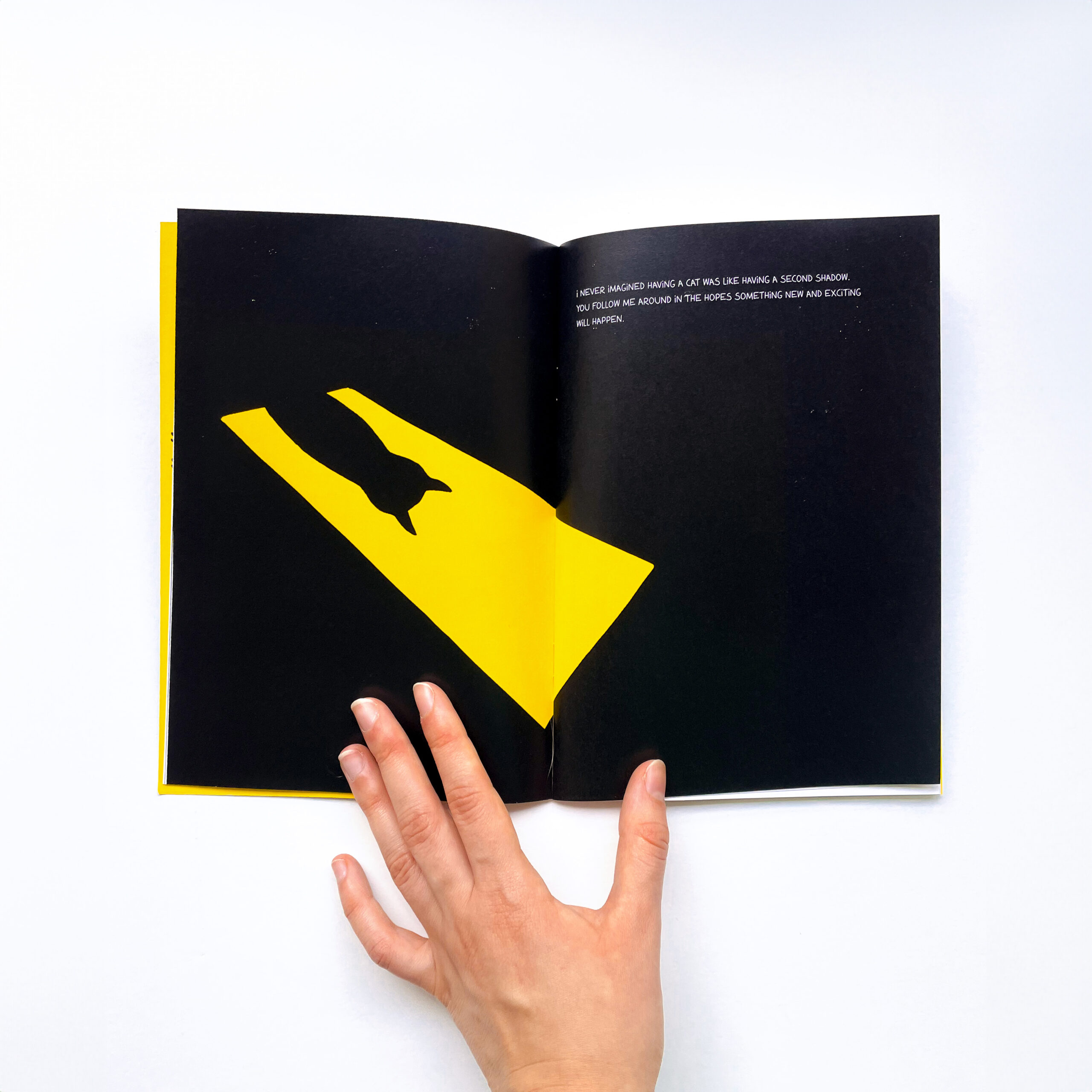 livro2 Sara Felgueiras's cat illustration