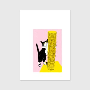 Sara Felgueiras's cat illustration