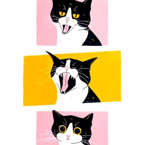 Sara Felgueiras's cat illustration