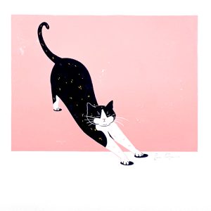 Sara Felgueiras's cat illustration
