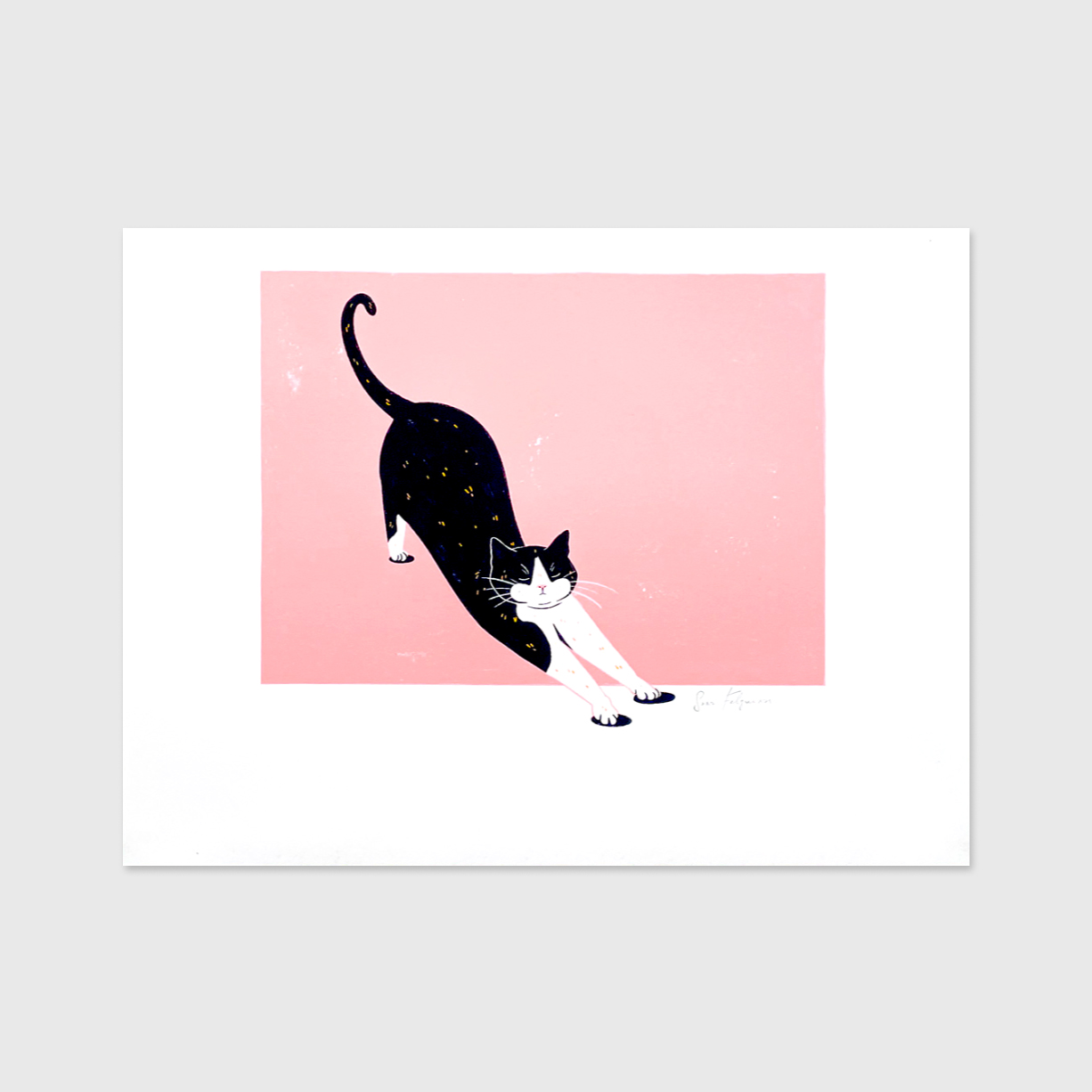 stretching-sara-felgueiras-02 Sara Felgueiras's cat illustration