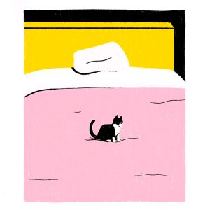 Sara Felgueiras's cat illustration