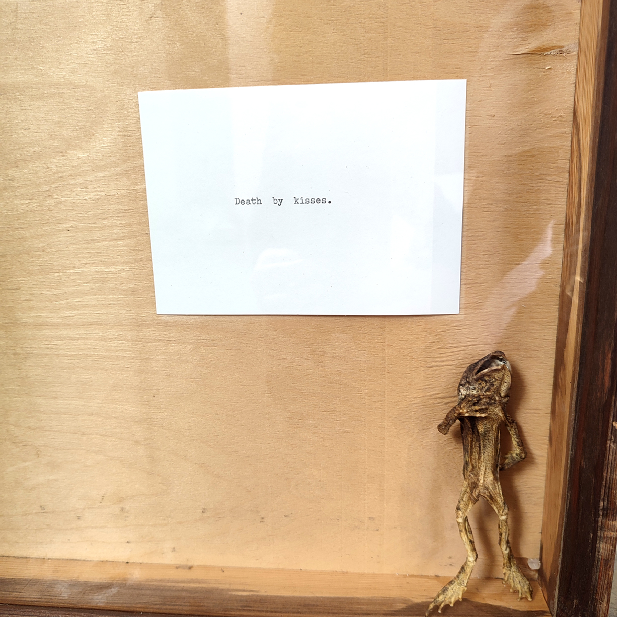 death-by-kisses-dear-anushka-apaixonarte-04